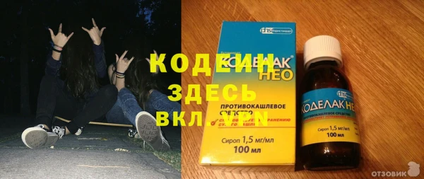 дмт Корсаков