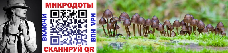 Псилоцибиновые грибы Psilocybine cubensis  гидра ТОР  Краснозаводск  наркотики 